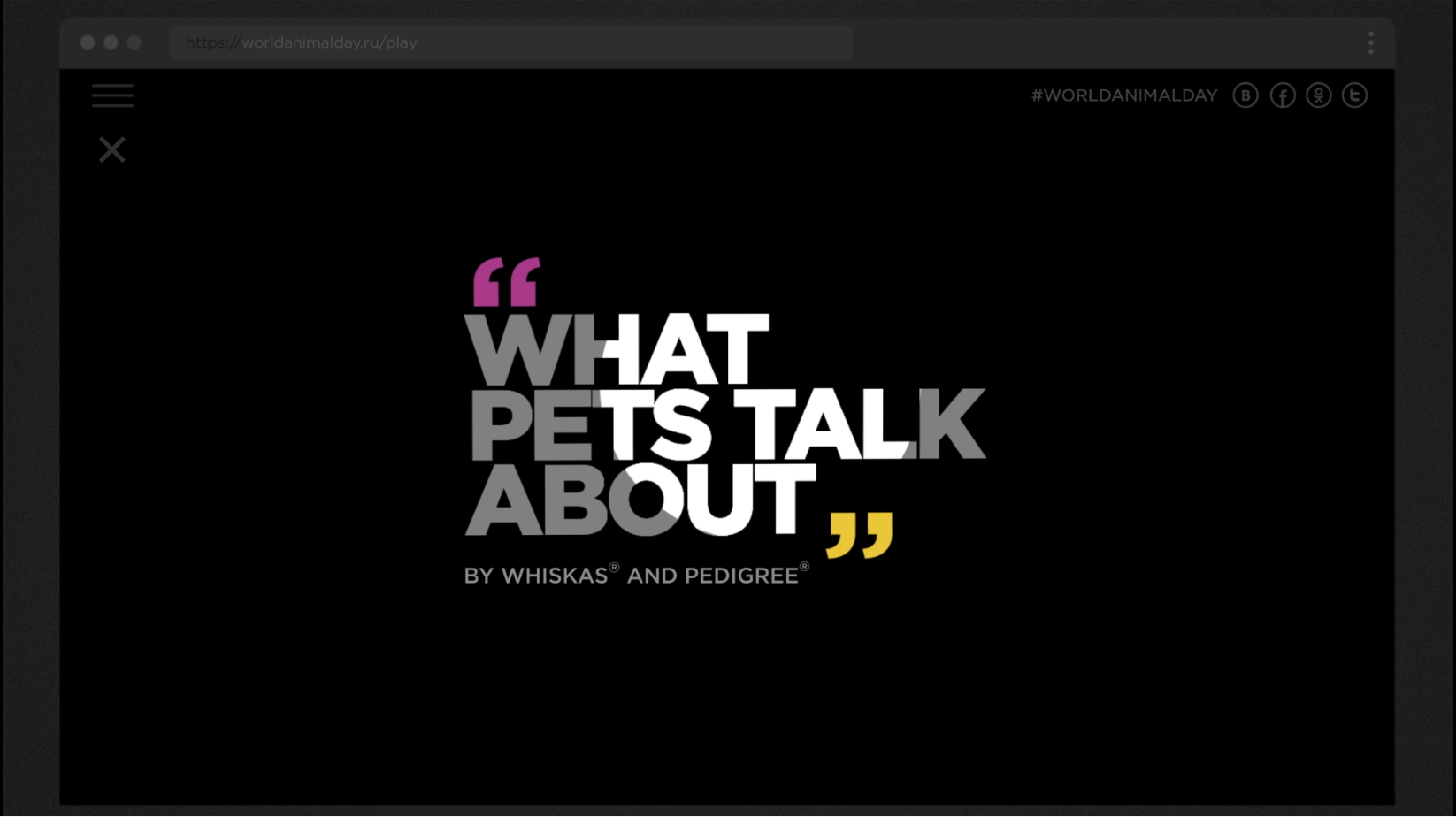 WHAT PETS TALK ABOUT